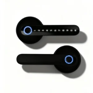 HomeKT B06 Smart Door Handle Lock (Tuya App & Fingerprint Keyless Entry)